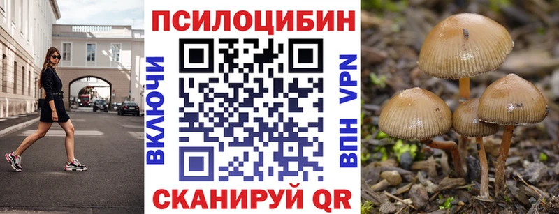 купить  сайты  Давлеканово  Галлюциногенные грибы ЛСД 